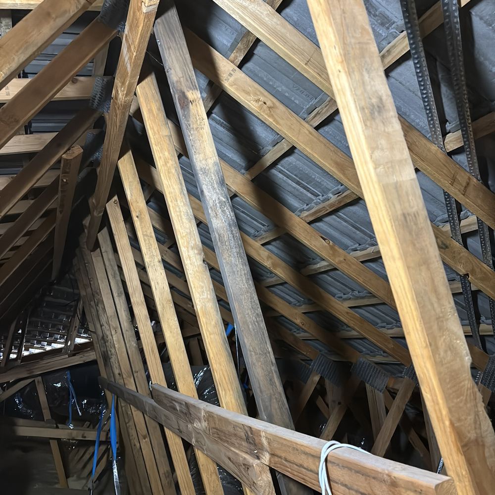Mould on roof truss timbers, pointing to moisture and weak roof ventilation, found during a defect investigation in Winter Valley