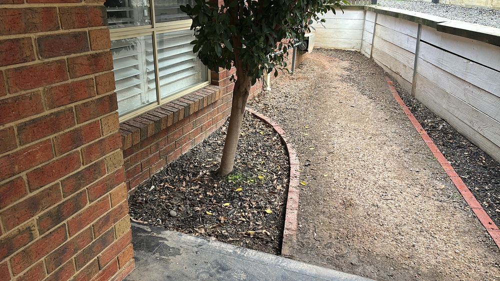 Tree growing hard against the footings, where roots can lift or crack them, found during a pre-purchase inspection in Darley
