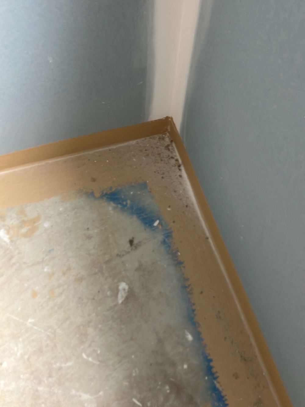 Wet area floor membrane open to foot traffic and damage, found during a waterproofing inspection in Gisborne